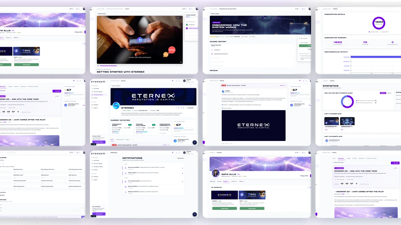 Demonstration of the Eternex platform